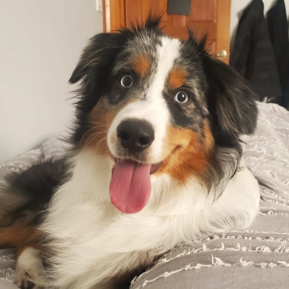 Meet your posher Katelyn